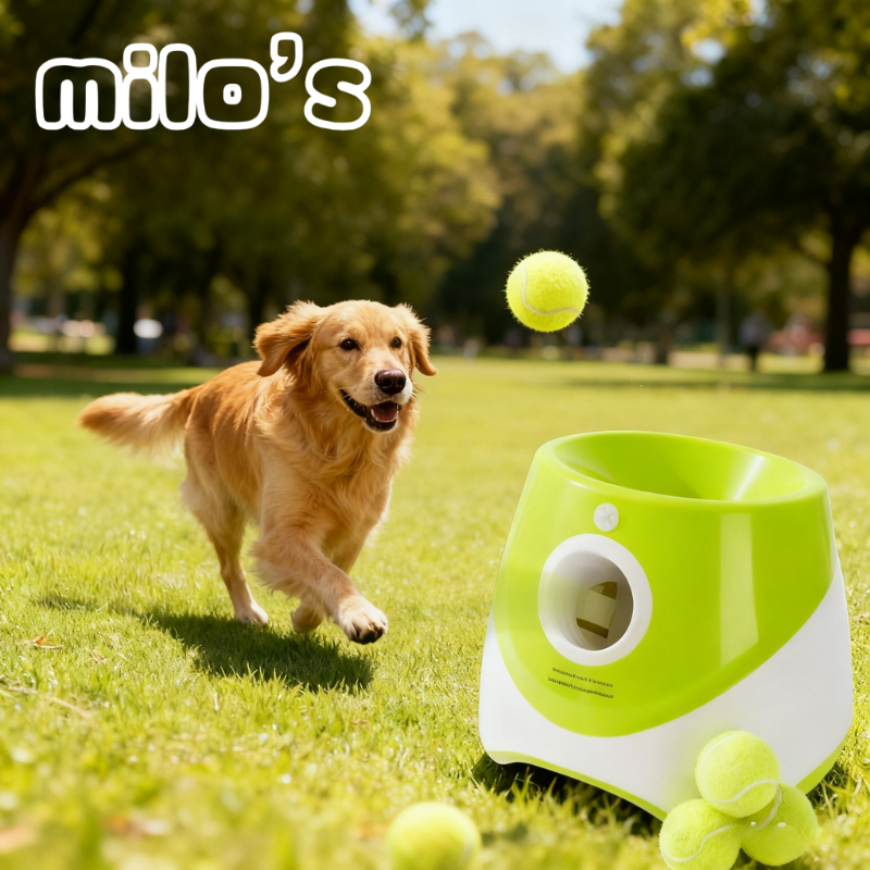Automatic Dog Tennis Ball Launcher