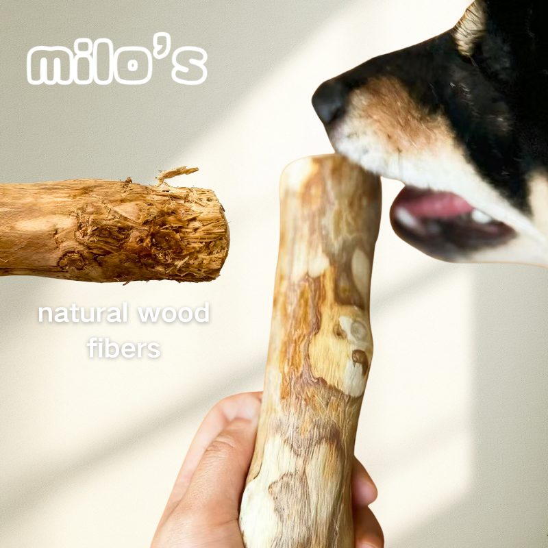 Coffee Wood Dog Chew