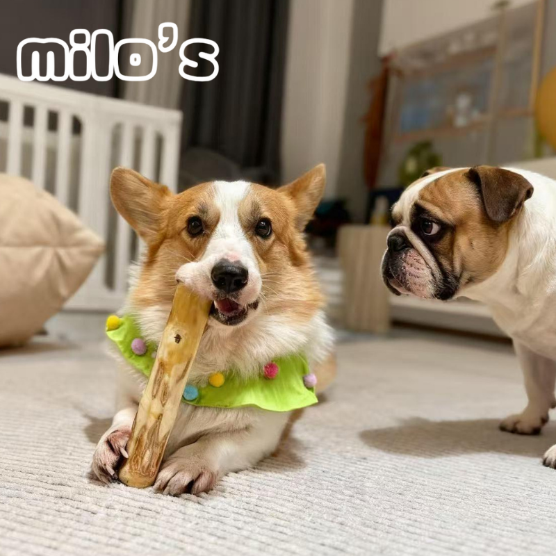 Coffee Wood Dog Chew