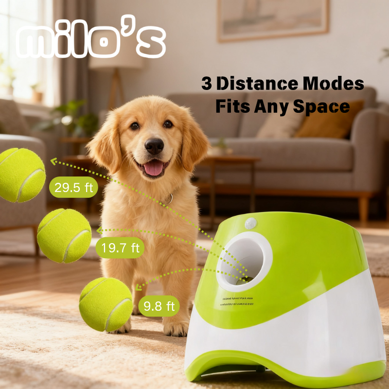 Automatic Dog Tennis Ball Launcher
