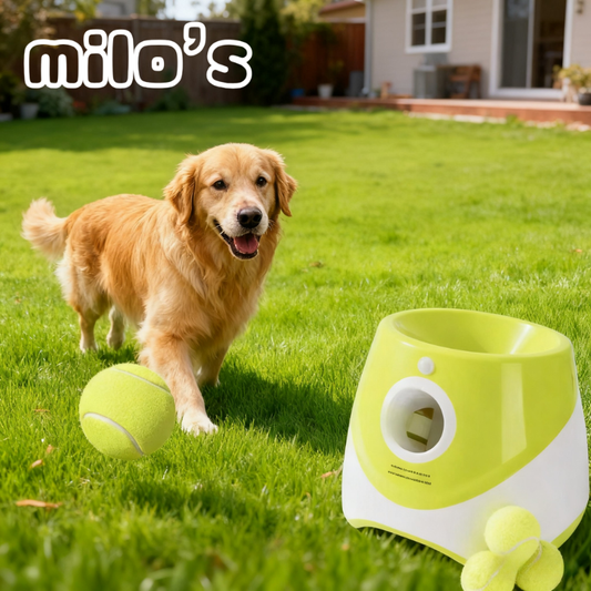 Automatic Dog Tennis Ball Launcher