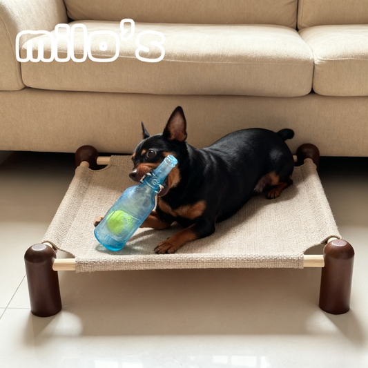Bottle-Shaped Dog Chew Toy