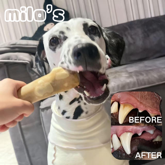 Coffee Wood Dog Chew