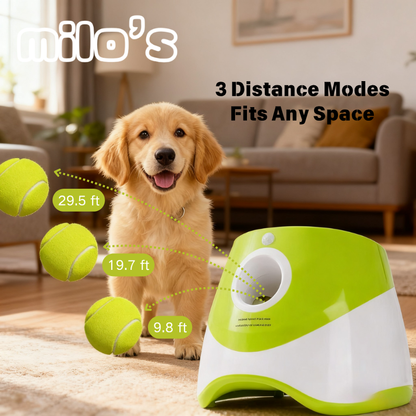 Automatic Dog Tennis Ball Launcher
